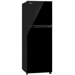 400-2 Toshiba 252 L 2 Star Frost Free Real Inverter(Gr-Rt302We-Pmi(Uk)Black)