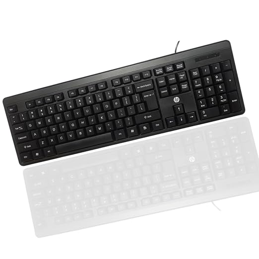 HP K100 Wired Full-Size Keyboard