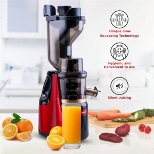 815G7sssj3L._SL1500_ Pigeon Slow Cold Press Juicer 150 Watts (100% Copper Motor )