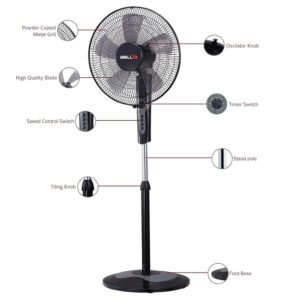 71EHti63I7L._SX679_ IBELL CHROME10 5 Leaf Pedestal Fan with Timer. High Speed motor - Black