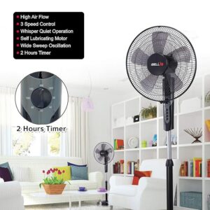 71wFElUqCAL._SX679_ IBELL CHROME10 5 Leaf Pedestal Fan with Timer. High Speed motor - Black