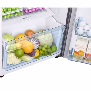 in-double-door-rt28c3733bx-hl-detail--silver-536701166 236 L Convertible Freezer Double Door Refrigerator RT28C3733BX
